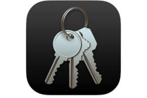 What kinds of passwords, tokens, and keys can Apple manage for you?